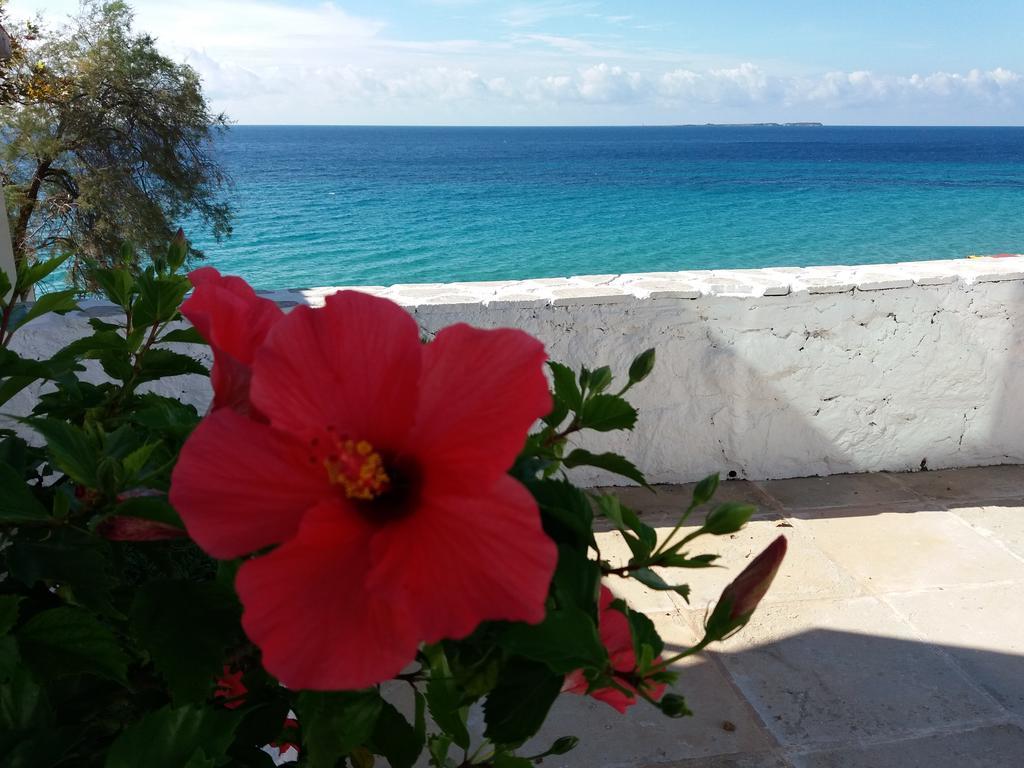 Apartmán Constantinos